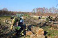 PSIOmoc – czyli efekt pożytecznej pomocy załogi z Ochotniczej Straży Pożarnej w Bełchatowie