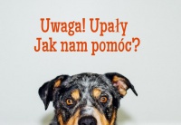 Apel letni Towarzystwa Opieki nad Zwierzętami w Polsce